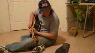 TIKI THE FAMOUS DANCING CHINCHILLA