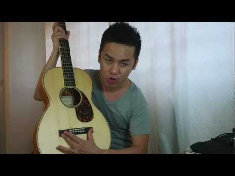 Larrivee P-03 Special Edition USA Made Parlor Guitar Review in Singapore