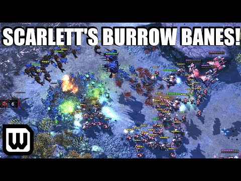 Starcraft 2: SCARLETT'S BURROWED BANES! (Scarlett vs TY)