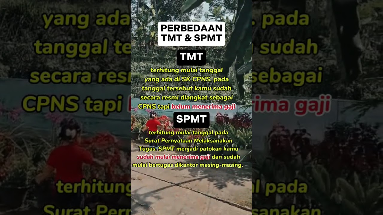 perbedaan TMT dan SPMT CPNS