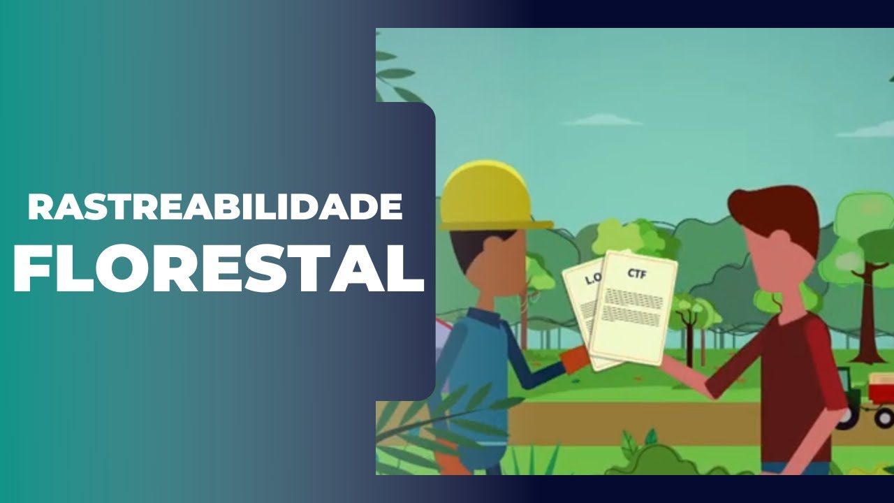 Quais documentos são necessários para COMERCIALIZAR MADEIRA