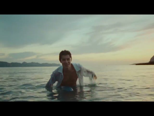 Summer Of Love von Shawn Mendes & Tainy ((jetzt ansehen))