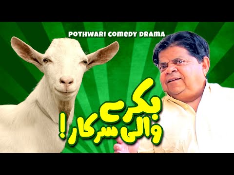 Mithu Ka Naya Rolla - Bakra Sarkar! Pothwari Drama - Shahzada Ghaffar - Khaas Potohar New Drama 2023