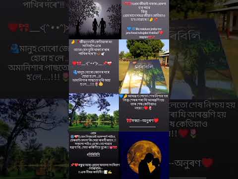 niribili #niribili #kaushiknandan #assamesenovel #novel #novels #explore #virelshorts