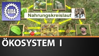 Trailer - Ökosystem I - Biologie - Schulfilm
