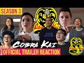 Cobra Kai Season 3 Official Trailer REACTION!! || MaJeliv Reactions | Johnny and Daniel team up!