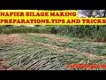 NAPIER SILAGE MAKING PREPARATIONS