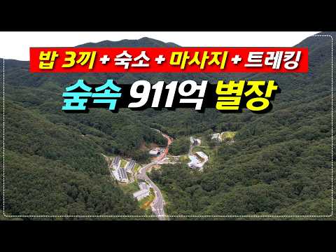 산림 치유원에서 누리는 힐링과 웰니스 체험