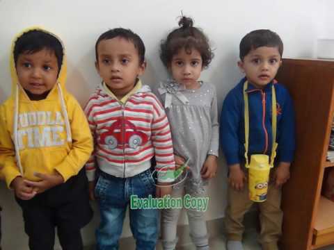 Green Dot Montessori School