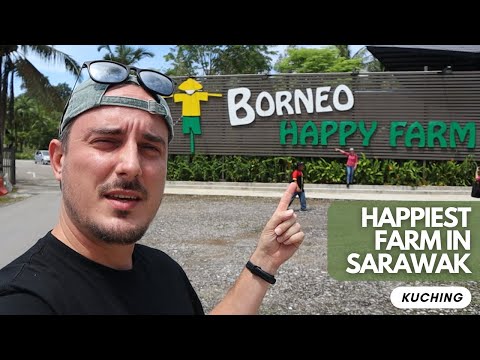 HAPPIEST PLACE IN MALAYSIA | Borneo Happy Farm