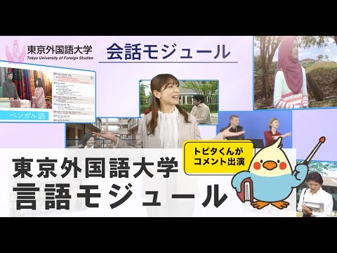 [東京外国語大学］無料で学べる学習プログラム：言語モジュール（PR）