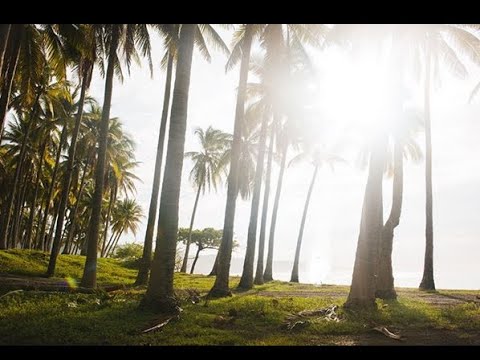 Yetu - Nguchi P, Lavosti