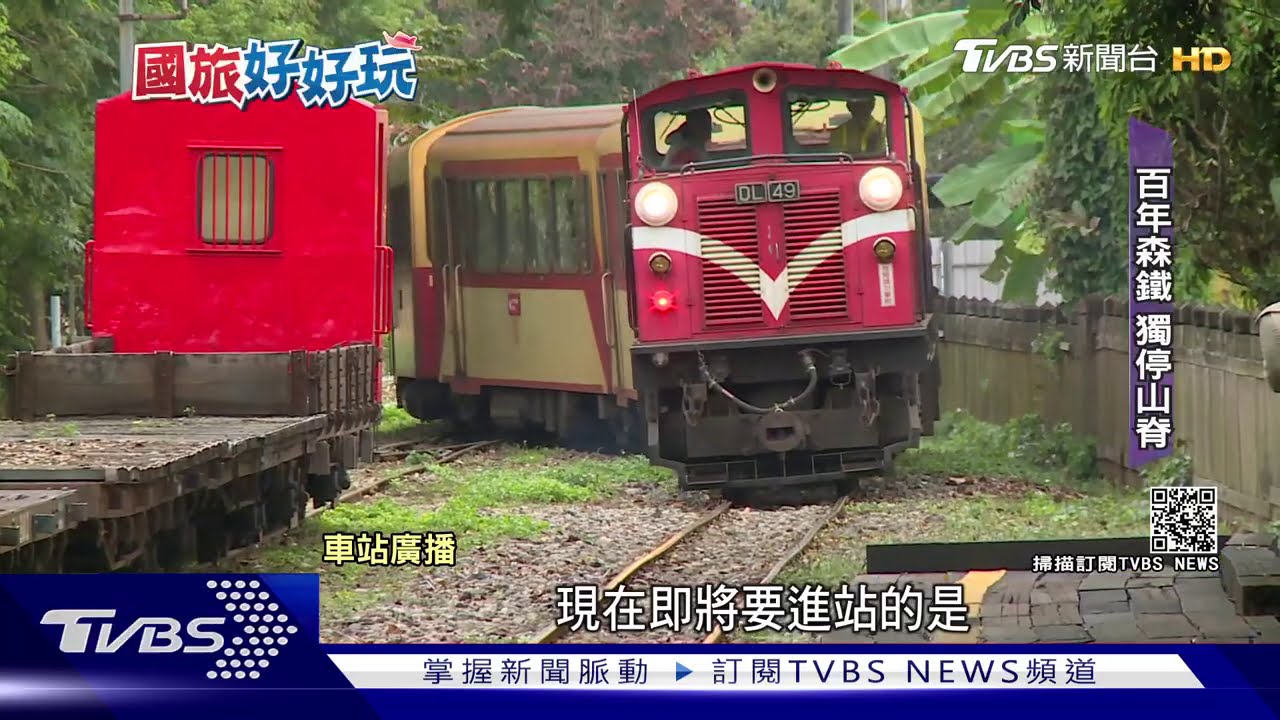 開上山脊!搭專列百年森鐵 獨家「停這」賞遼闊嘉義