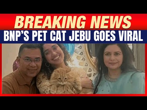 Tarique Rahman’s Cat Jebu Arrives in Bangladesh, Goes Viral Online