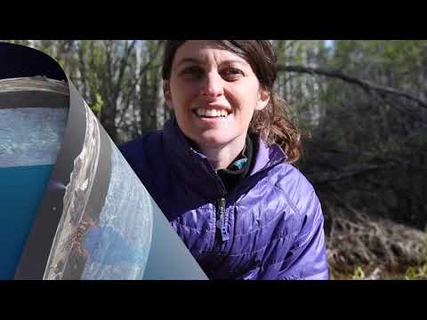 Museum Minute: Water and Life