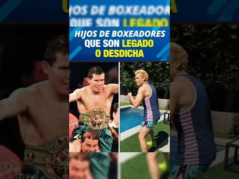 hijos de boxeadores  que son un legado o una desdicha #boxeo #boxeadores #deportes #datoscurisos