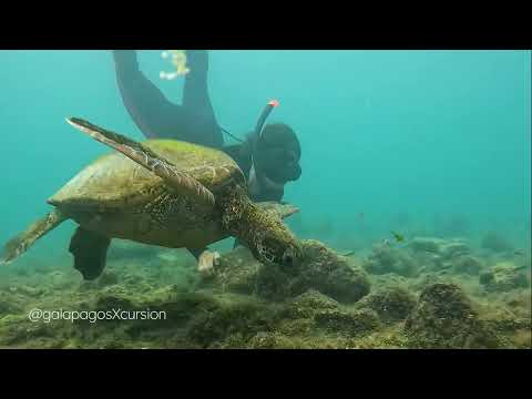 360 TOUR - San Cristóbal - Galápagos - Ecuador