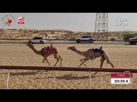   ش 14 (الظبي) لـ سالم راشد دغيش الكتبي 9:56 , شارة الديوان 3 2026/10/07 ثنايا اللبسه    