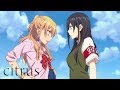 Leur Première Rencontre Citrus