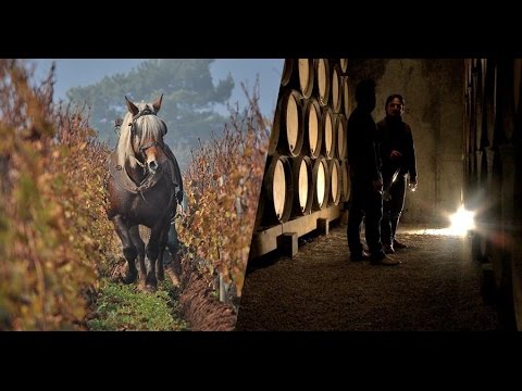 La Clef des Terroirs - Film documentaire - Bande-annonce