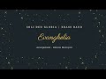 Soli Deo Gloria | Brass Band - Evanghelia