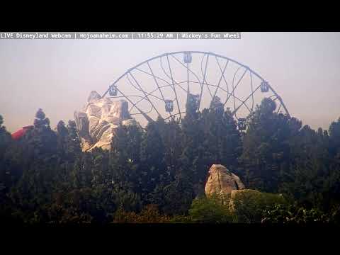 Live webcam of Disneyland Cam