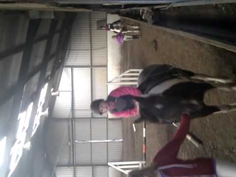Erin rafferty horse riding
