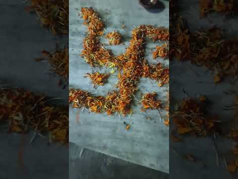 Flower rangoli design #youtubeshorts #reels #shorts #craft #art #lakshit #colors #rangoli #flowers