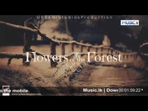 Flowers of the Forest - Nimesh Heshan