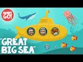 Great Big Sea 🐳 | Jellyfish, Whales, Manta Rays | Danny Go! Songs For Kids