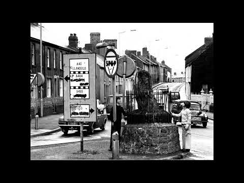 Wales | The Old Carmarthen Oak