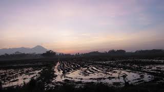 preview picture of video 'Best Sunrise Semeru'