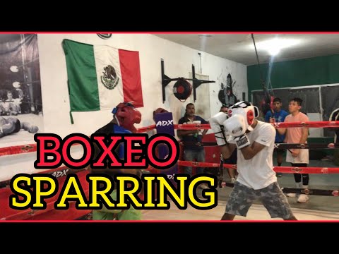 Pelea de entrenamiento (Sesión de Sparring) 2020