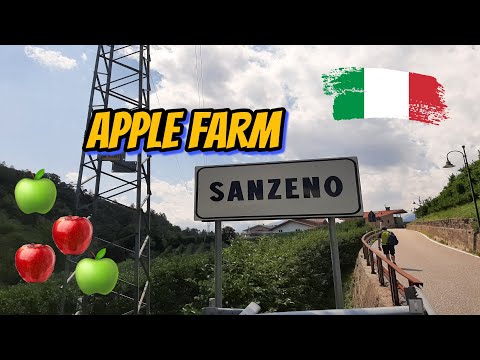 Sanzeno Italy I Apple Farm