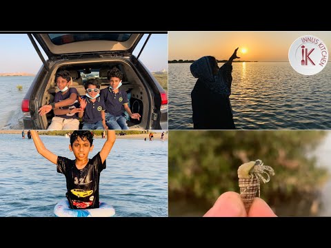 Mangrove Beach|Beach in Ummul Quwain|Tourist Place in Uae|Best Tourist Destination in Umm Al Quwain.