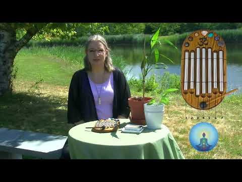 Woodstock Zenergy Chakra Chime