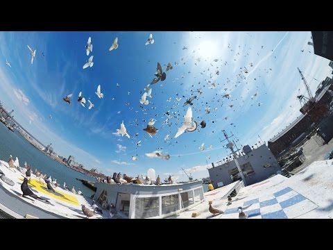 YouTube Preview Image