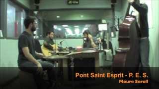 PONT SAINT ESPRIT - p. e. s. - 11/03/14