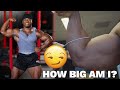 How big has powerlifting made me? Here are my measurements