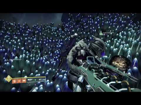 Queenswalk Clear & Route (View of Last Runner) - Last Wish Raid