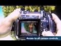 Fantasea FP-7100 Video #1