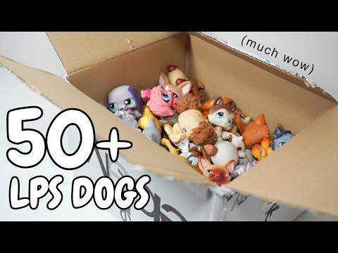 I ordered LPS dogs only (again)