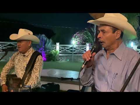 Los pavorreales del norte- Hoy empieza mi tristeza (En vivo 2024)