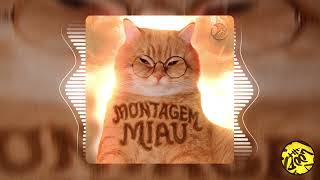 MONTAGEM MIAU (ULTRA SLOWED)