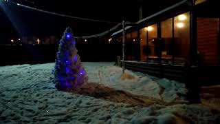 Видео База отдыха Терем елка