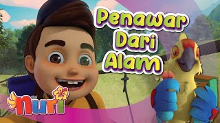Download lagu Nuri : Penawar Dari Alam mp3 Download lagu Nuri : Penawar Dari Alam mp3