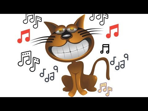 Sounds That Attract Cats