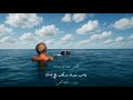 Baseer Alim Allah Hafiz Official Lyric Video