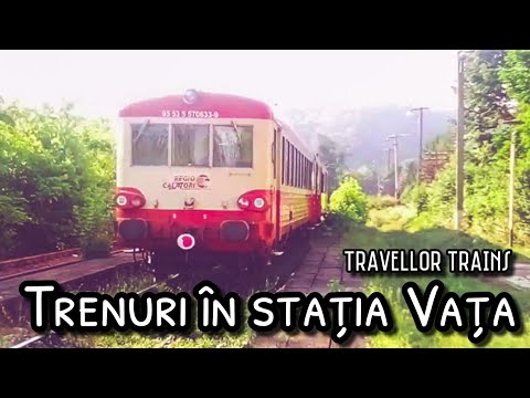 Trenuri în stația Vața (Linia 317: Arad - Ineu - Brad)
