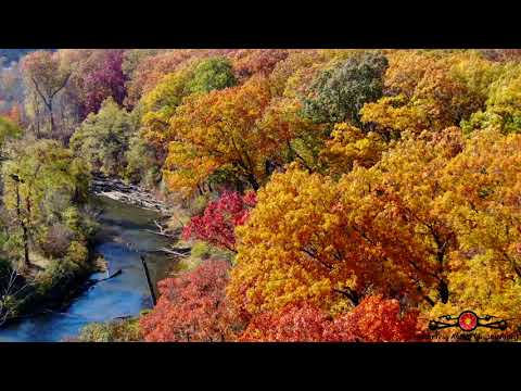 Tree Top Flying In Peak Fall Colors 4K Drone Footage 2022 Must See Stunning Fall Colors